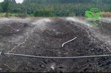 So sánh béc tưới có bán kínhnh 3.5m và béc bán kính 3m cái nào hiệu quả hơn